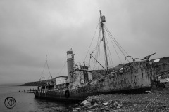 Antarctic-and-Sub-Antarctic-landscanpes-10