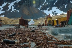 Antarctic-and-Sub-Antarctic-landscanpes-11