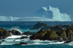 Antarctic-and-Sub-Antarctic-landscanpes-14