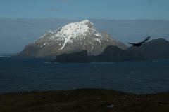 Antarctic-and-Sub-Antarctic-landscanpes-18