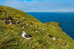 Antarctic-and-Sub-Antarctic-landscanpes-20