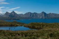 Antarctic-and-Sub-Antarctic-landscanpes-22