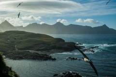 Antarctic-and-Sub-Antarctic-landscanpes-24