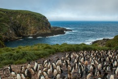 Antarctic-and-Sub-Antarctic-landscanpes-25