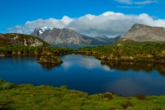 Antarctic-and-Sub-Antarctic-landscanpes-26