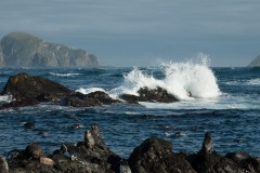 Antarctic-and-Sub-Antarctic-landscanpes-27