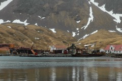 Antarctic-and-Sub-Antarctic-landscanpes-8