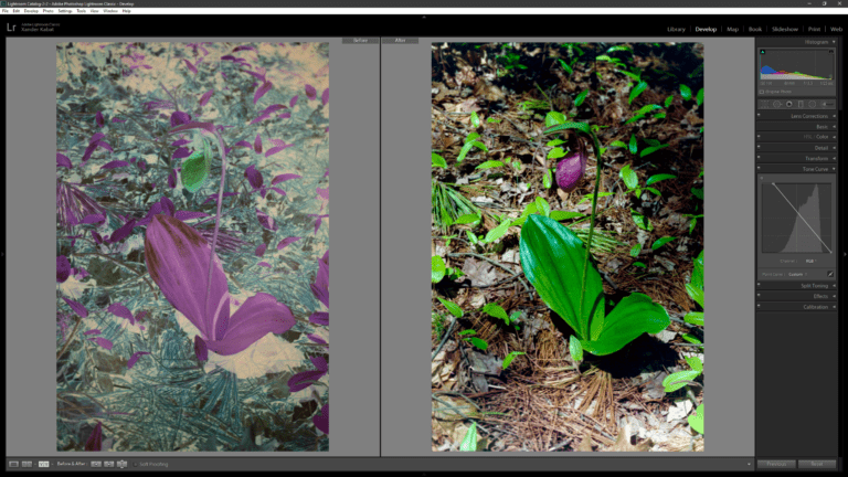 Lightroom Preset